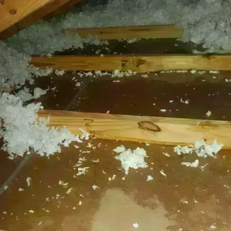 Attic Water Damage in Brookings, OR